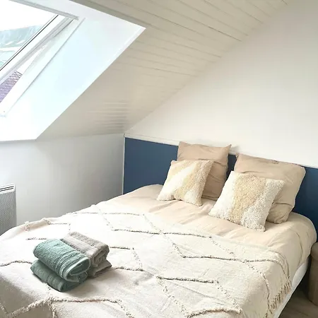 Appartement Le Magenta Centre De Laval Proche Gare