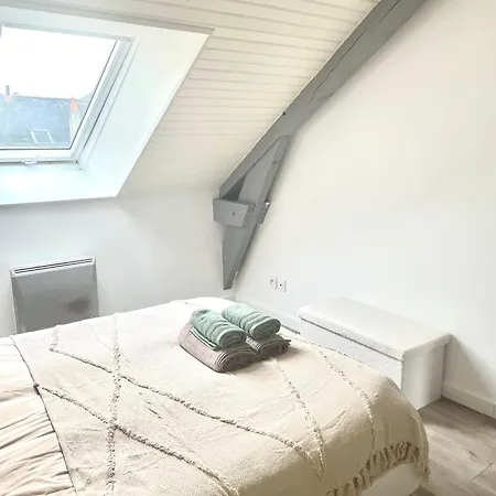 Le Magenta Centre De Laval Proche Gare 아파트 *