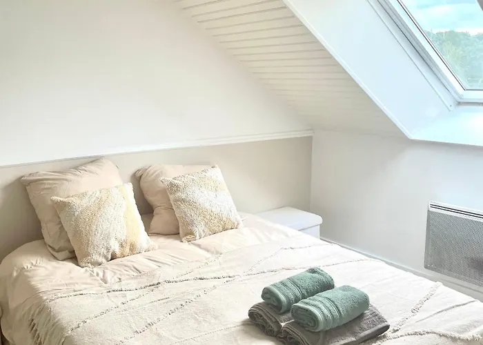 公寓 Le Magenta Centre De Laval Proche Gare