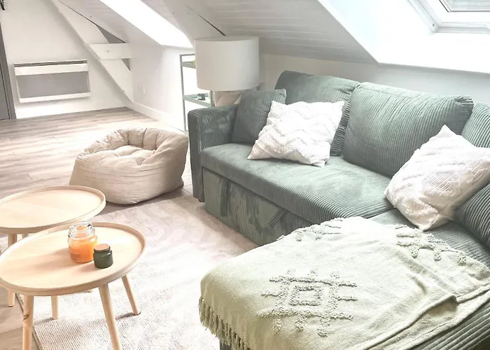 公寓 Le Magenta Centre De Laval Proche Gare *