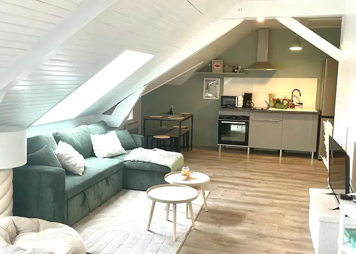 Le Magenta Centre De Laval Proche Gare * 拉瓦勒