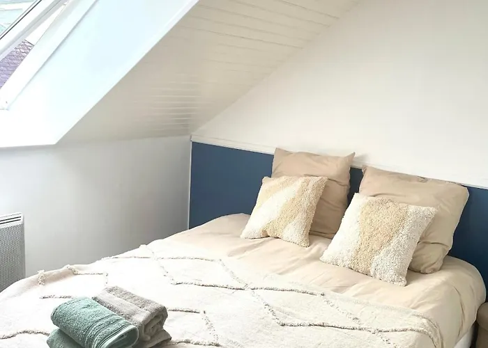 公寓 Le Magenta Centre De Laval Proche Gare