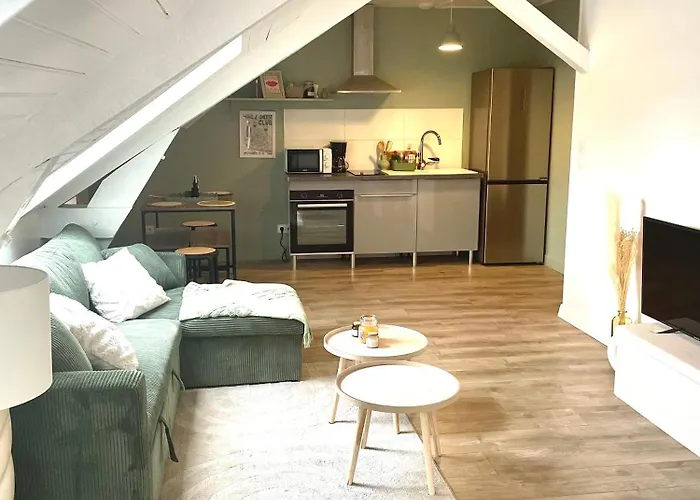 公寓 Le Magenta Centre De Laval Proche Gare