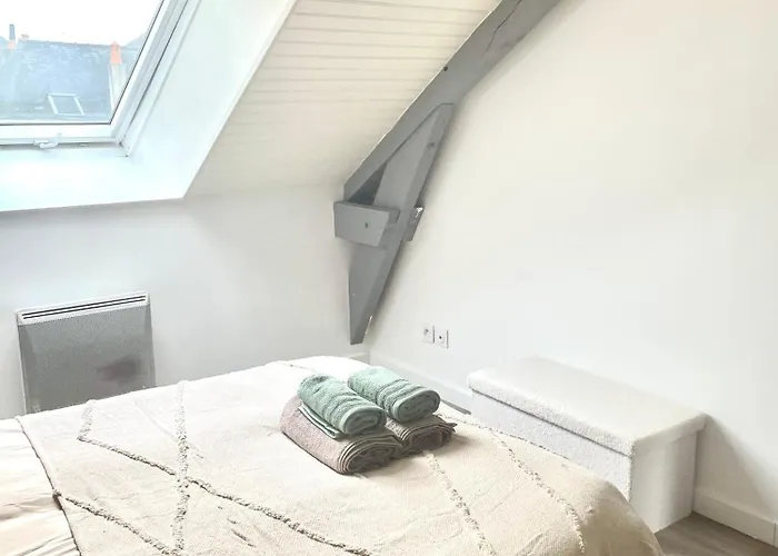 Le Magenta Centre De Laval Proche Gare 公寓 *